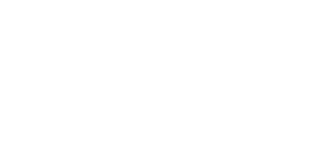 Tehran Islamic Council